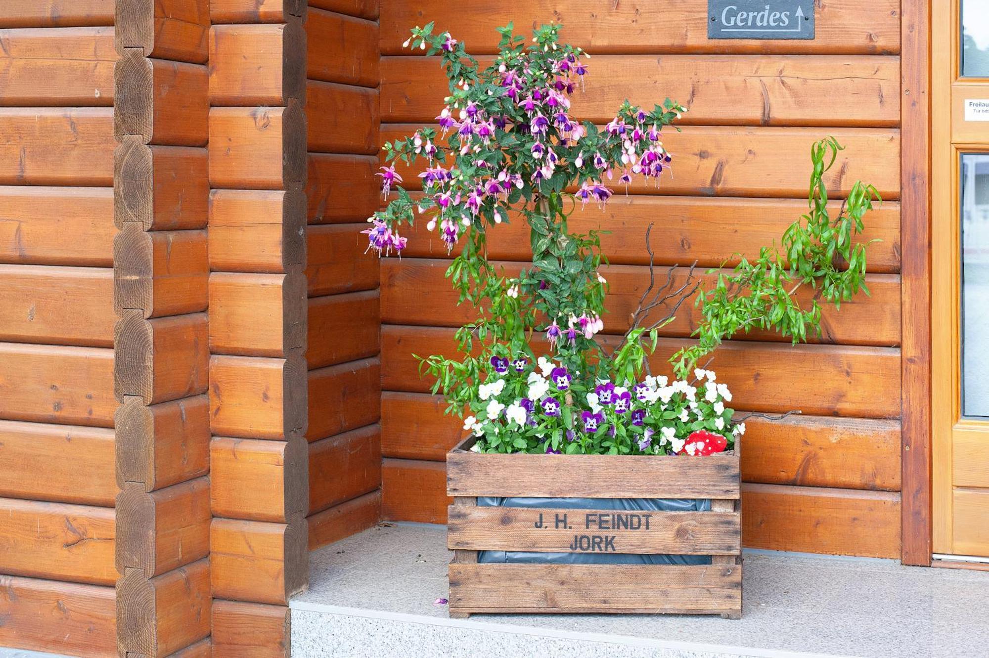 Entenhaus Hilgendorf Экстерьер фото