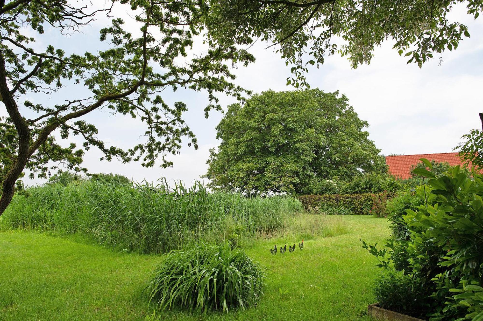 Entenhaus Hilgendorf Экстерьер фото